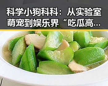 科学小狗科科：从实验室萌宠到娱乐界“吃瓜高手”