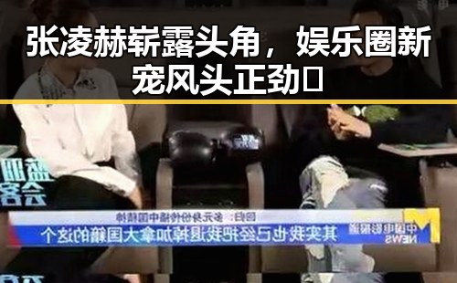 张凌赫崭露头角，娱乐圈新宠风头正劲✨