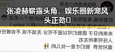 张凌赫崭露头角，娱乐圈新宠风头正劲✨