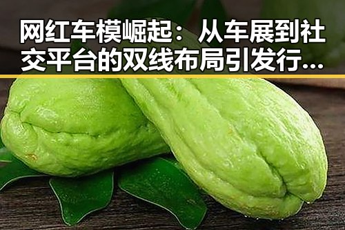 网红车模崛起：从车展到社交平台的双线布局引发行业变革
