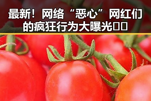 最新!网络“恶心”网红们的疯狂行为大曝光🤢🔥